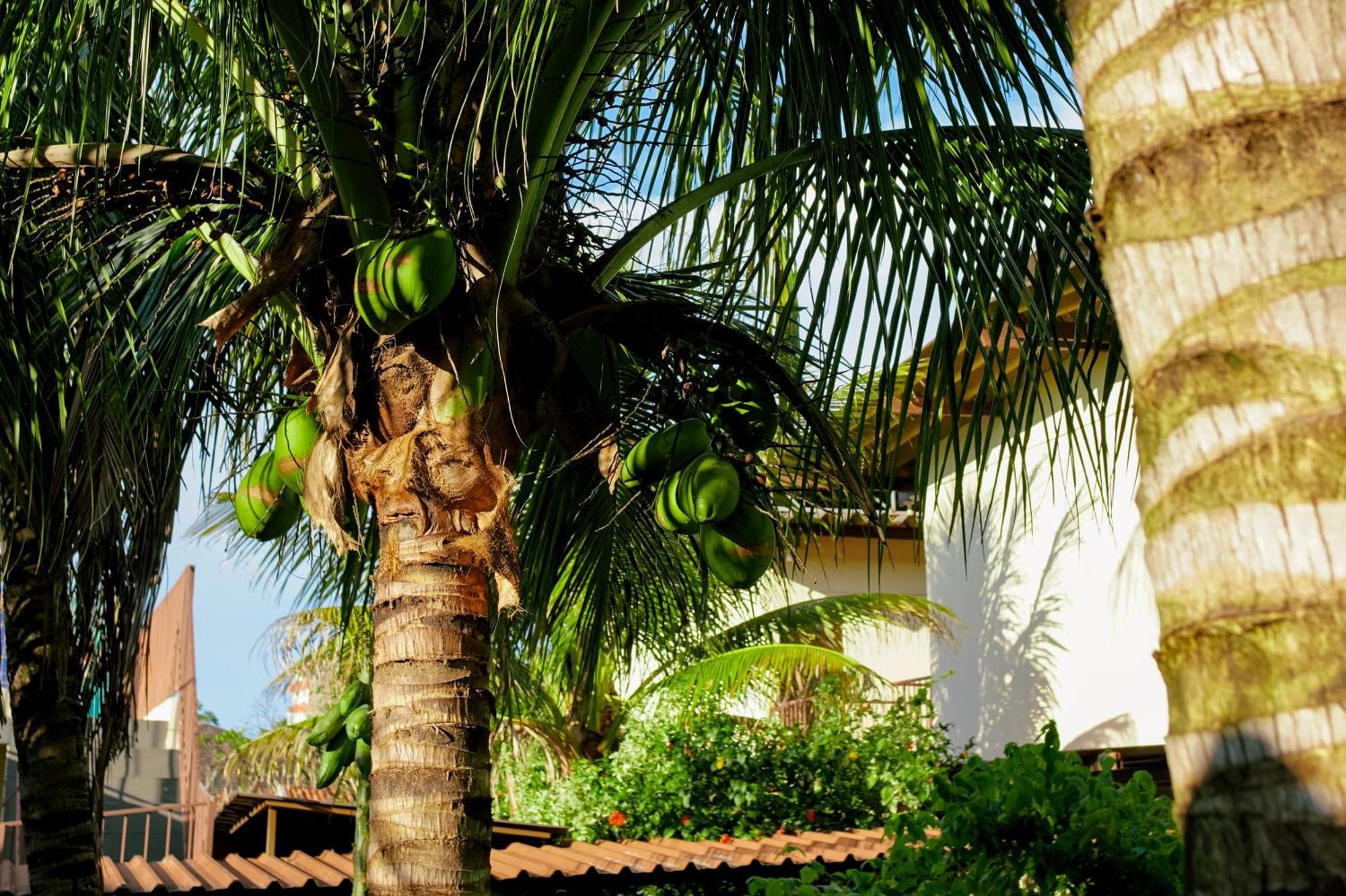 Velinn Hotel Natureza Foz Foz do Iguacu Luaran gambar