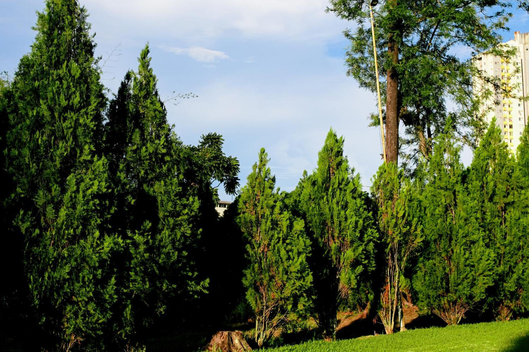 Velinn Hotel Natureza Foz Foz do Iguacu Luaran gambar