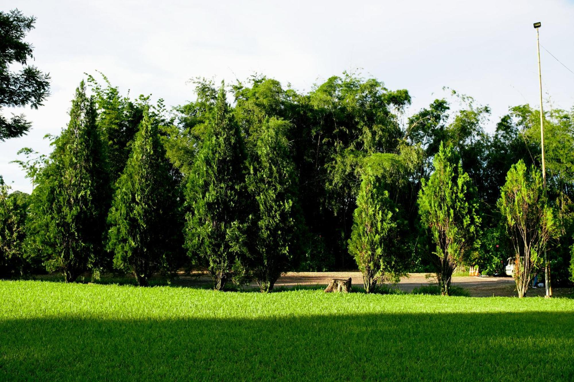 Velinn Hotel Natureza Foz Foz do Iguacu Luaran gambar